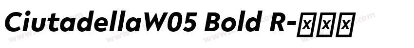 CiutadellaW05 Bold R字体转换